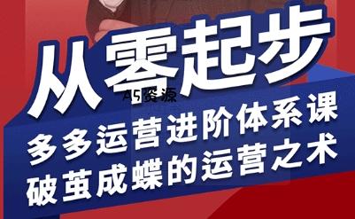 拼多多运营进阶系统课，从零起步，多多运营进阶体系课，破茧成蝶的运营之术