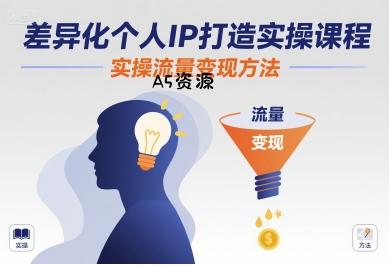 差异化个人IP打造实操课程,实操流量变现方法
