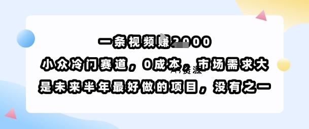 一条视频挣1k，小众冷门赛道，0成本，市场需求大，是未来半年最好做的项目，没有之一
