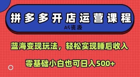 拼多多开店运营课程:蓝海变现玩法,轻松实现睡后收入,零基础小白也可日入5张