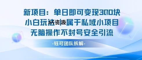 新项目单日即可变现3张的小白玩法无脑操作不封号安全引流