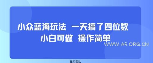 小众蓝海玩法 一天搞了四位数 小白可做 操作简单