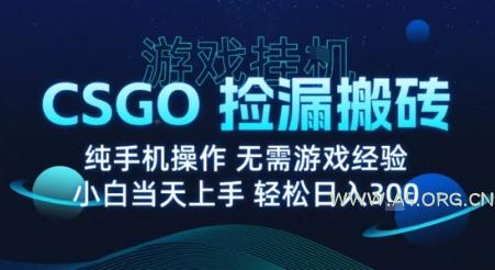 8月最新游戏搬砖，CSGO纯挂G，不需要玩游戏，实现真挂G，月入1W+【揭秘】