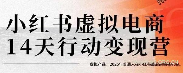 小红书虚拟电商14天变现训练营,虚拟产品,2025年普通人在小红书最后的搞钱机会(更新)