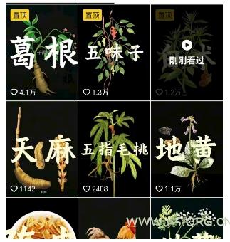 抖音中草药赛道，用AI做中草药故事视频，45条作品涨粉13W，橱窗带货猛猛出单