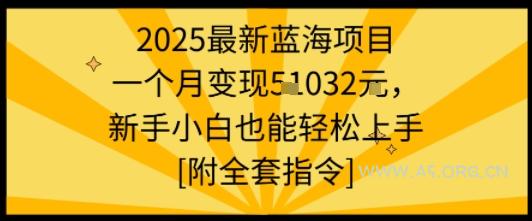 2025最新蓝海项目一个月变现1w+新手小白也能轻松上手【附全套指令】