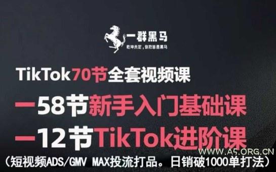 TikTok全套视频课，新手入门+进阶课，短视频ADS-GMV MAX投流打品，日销破1000单打法