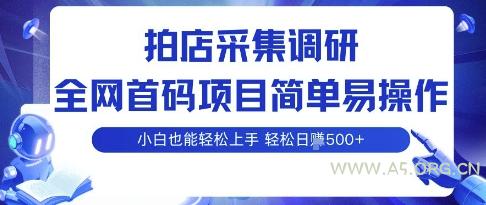 拍店采集调研,全网首码项目,简单易操作, 小白也能轻松上手,多账号操作,轻松日入5张【揭秘】