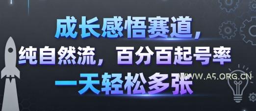 成长感悟赛道，纯自然流，百分百起号率 一天轻松多张