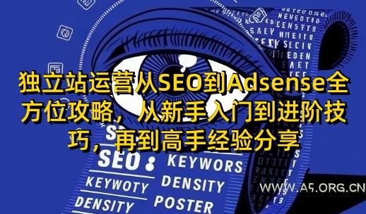 独立站运营从SEO到Adsense全方位攻略，从新手入门到进阶技巧，再到高手经验分享
