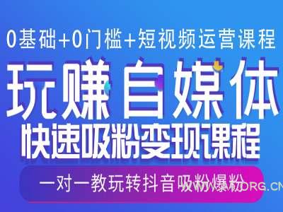 0基础+0门槛+短视频运营课程，玩赚自媒体快速吸粉变现课程，一对一教玩转抖音吸粉爆粉