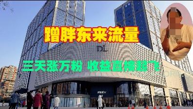 蹭胖东来流量，三天涨万粉，收益直接起飞