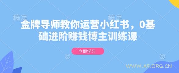 金牌导师教你运营小红书，0基础进阶赚钱博主训练课