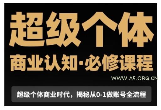 超级个体商业认知觉醒视频课，商业认知·必修课程揭秘从0-1账号全流程