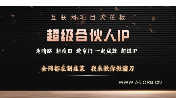 互联网项目天花板，超级合伙人IP，全网都在割韭菜，我来教你做镰刀【仅揭秘】