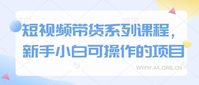 短视频带货系列课程,新手小白可操作的项目