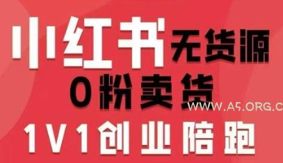 小红书无货源0粉电商课,开店准备、选品策略、笔记撰写、视频剪辑、数据分析、账号打造、资料文档