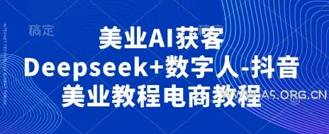 美业AI获客Deepseek+数字人-抖音美业教程电商教程