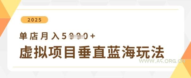 虚拟项目垂直玩法,实现单店月入5k+