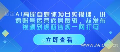 AI高阶自媒体项目实操课，讲透账号运营底层逻辑，从发布视频到规避违规一网打尽