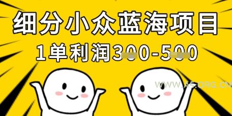 细分小众蓝海项目，一单利润3张，每月收入稳定过1w+