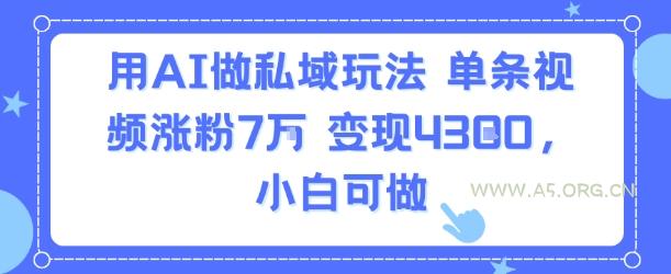 用AI做私域玩法，单条视频涨粉7W变现4.3k，小白可做