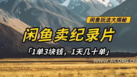 闲鱼卖纪录片1单3块钱,1天几十单,项目稳定有潜力
