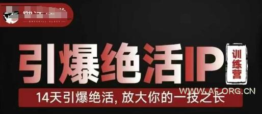 引爆绝活IP训练营，14天引爆绝活，放大你的一技之长