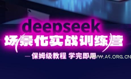 DeepSeek场景化实战训练营，保姆级教程，学完即用，手把手教你用DeepSeek提升效率