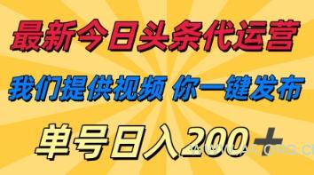 最新今日头条代运营,我们提供视频,你一键发布,单号日入200+【揭秘】