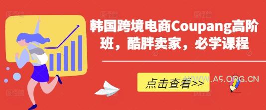 韩国跨境电商Coupang高阶班，酷胖卖家，必学课程