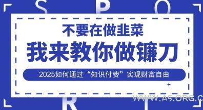 韭菜生涯终结者，我来教你做镰刀，2025如何通过“知识付费”实现财F自由【揭秘】