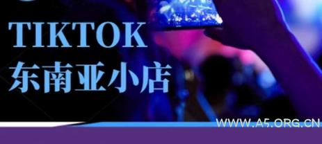 Tiktok东南亚跨境小店运营班，一门专业的TK小店运营培训课