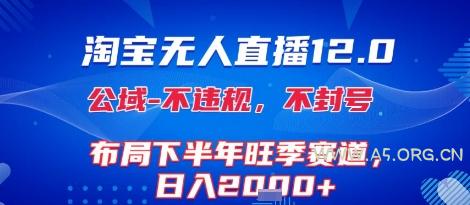 淘宝无人直播12.0，不封号，不违规，布局下半年旺季赛道，日入1k+(独家技术)【揭秘】
