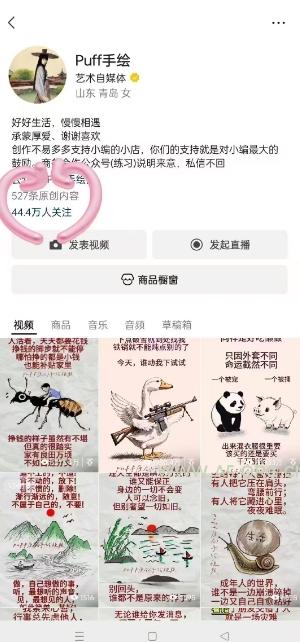 Puff手绘视频号分成项目，三天过分成计划，简单易上手，适合新手