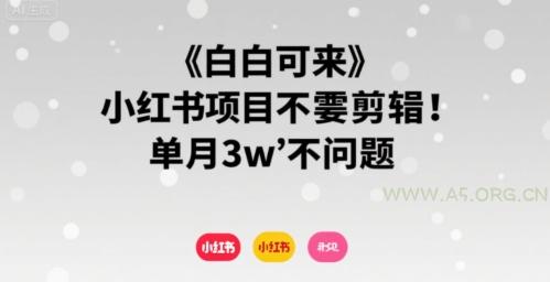小白可来 小红书项目不需要剪辑 单月3w不是问题