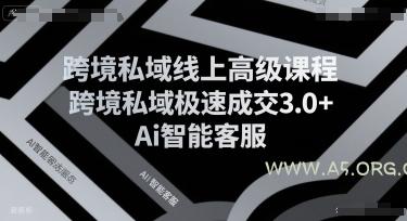 跨境私域线上高级课程，跨境私域极速成交3.0+Ai智能客服