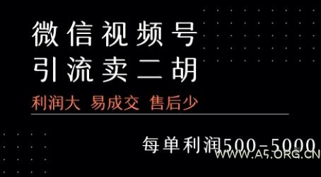 视频号卖二胡教程，利润大 易成交 售后少，一单利润5张+