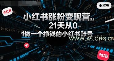 小红书涨粉变现营，21天从0-1做一个挣钱的小红书账号