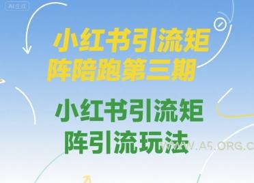 小红书引流矩阵陪跑第三期，小红书引流矩阵引流玩法