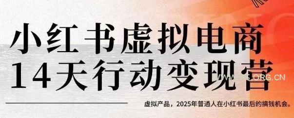 小红书虚拟电商14天变现训练营,虚拟产品,2025年普通人在小红书最后的搞钱机会