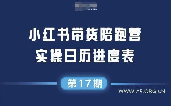 小红书第17期带货陪跑营,不囤货,无不直播,无不投流,通过选品+笔记内容+测品+笔记铺量+矩阵运营打爆款