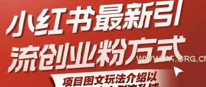 小红书最新引流创业粉方式，项目图文玩法介绍以及如何安全倒流私域