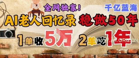AI帮老人写回忆录，可以稳做50年的蓝海赛道，一单收2-3W，2单吃一年，长久可持续