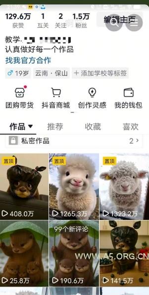 抖音65W博主AI萌宠课程,新赛道流量大,原创+二创,全套课程+提示词