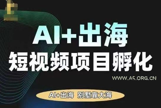 AI·TikTok AI+出海短视频项目孵化，陪你从0-1借助AI实现出海变现