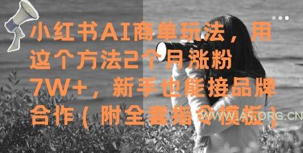 小红书AI商单玩法，用这个方法2个月涨粉7W+，新手也能接品牌合作(附全套指令模板)