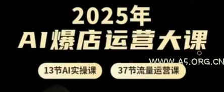 2025年AI爆店运营大课，13节AI实操课+37节流量运营课