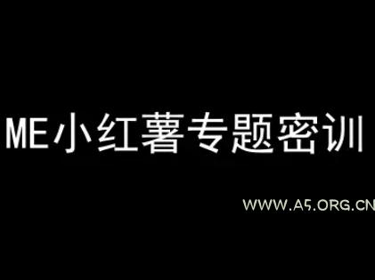 ME小红薯专题密训-小红书电商教程