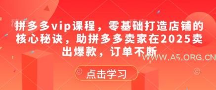 拼多多vip课程,零基础打造店铺的核心秘诀,助拼多多卖家在2025卖出爆款,订单不断